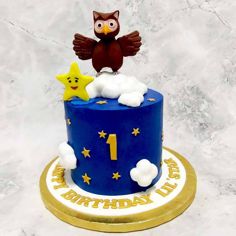 Owl Decorated Cake