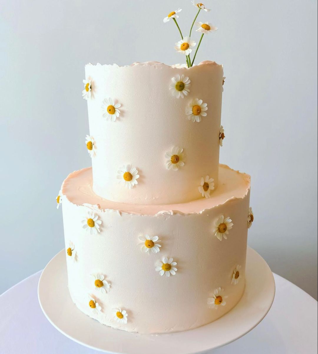 Decorated Cake Daisies